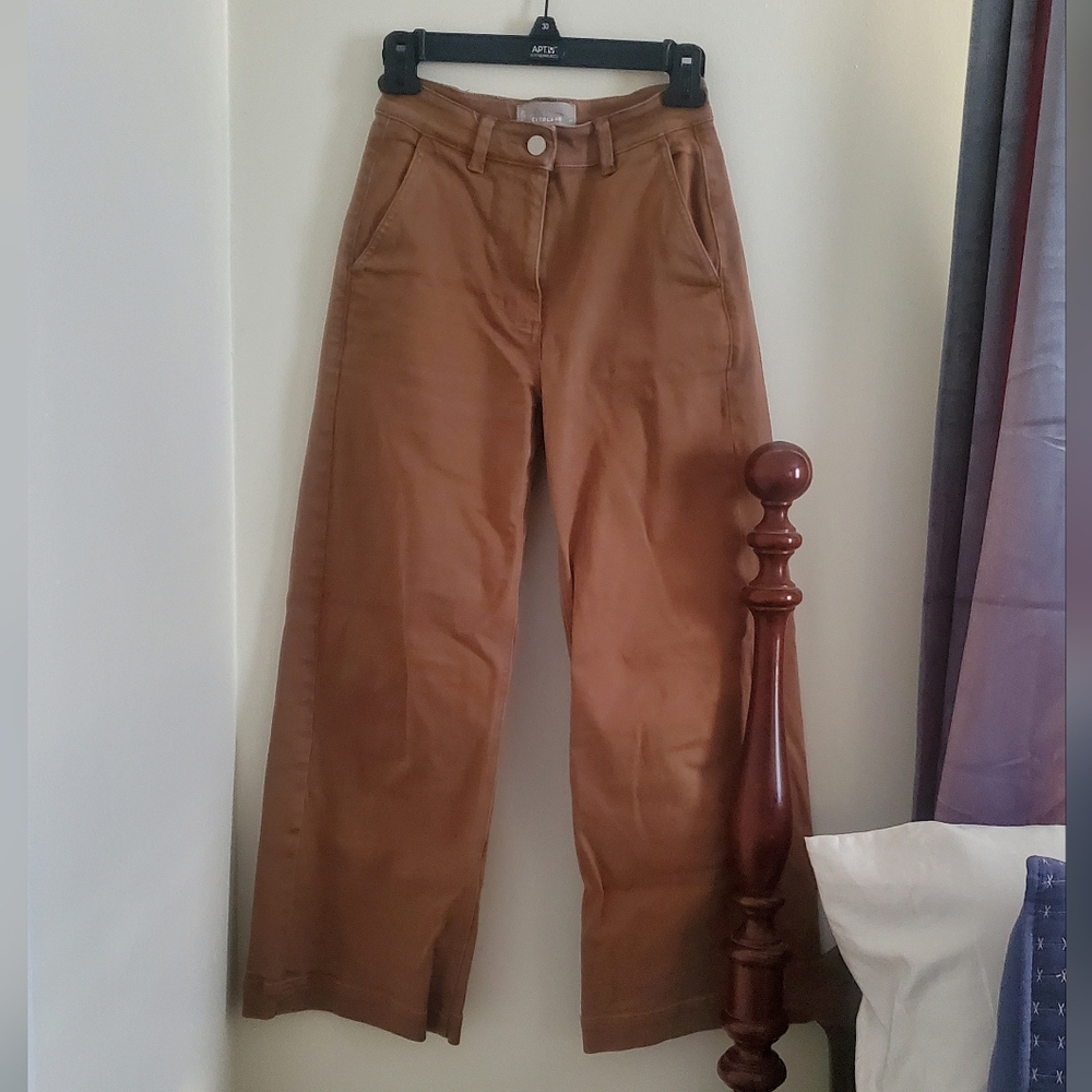Everlane Women's Brown Wide Leg Pant